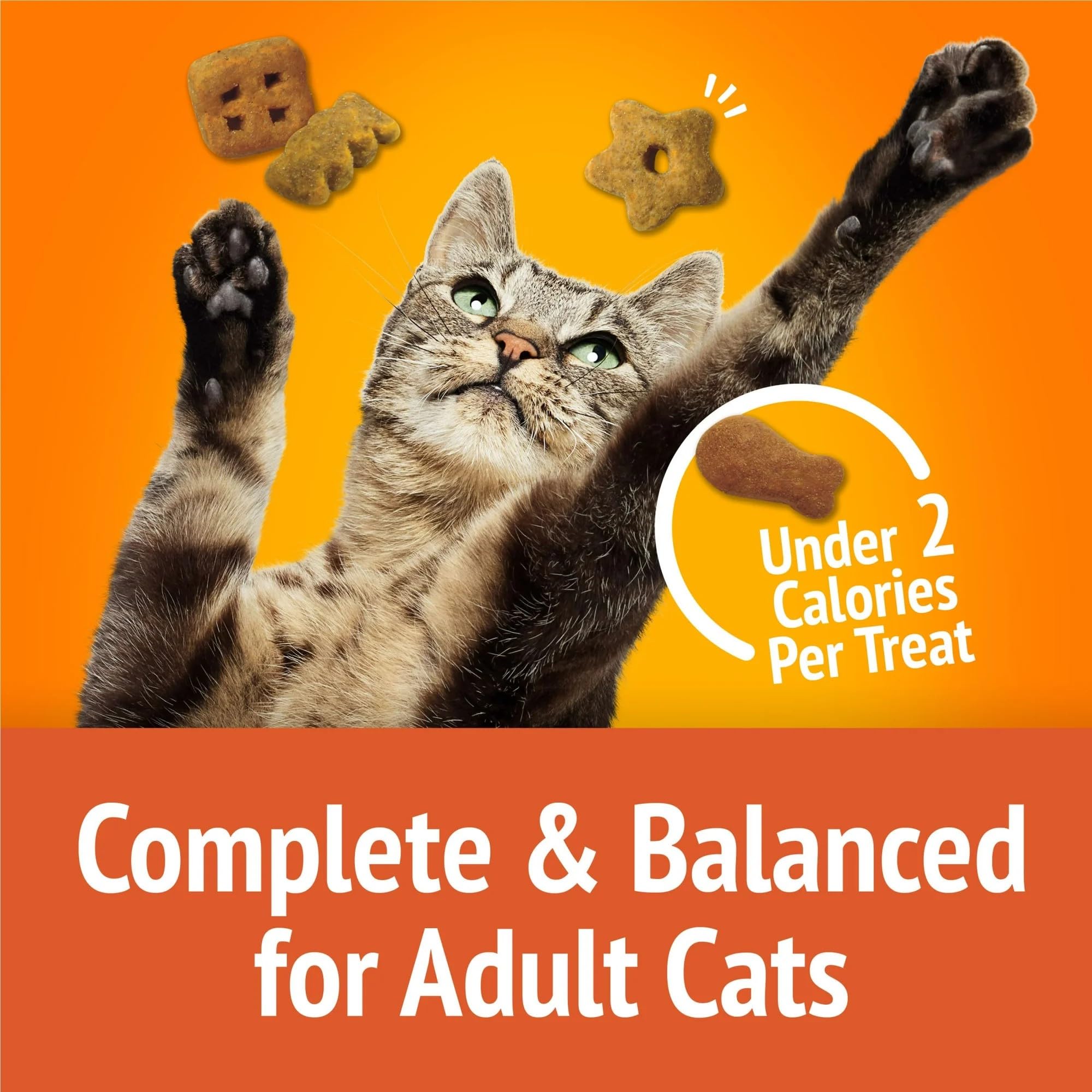 Friskies bolsa de 20 oz, paquete práctico para varios días.