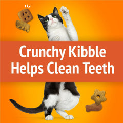 Friskies golosinas crujientes en plato, formas divertidas para gatitos.