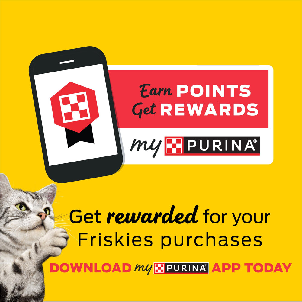 Friskies Lil' Gravies complemento húmedo para enriquecer la hora de comer