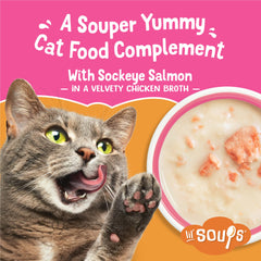 Complemento húmedo sin granos de Friskies Lil' Soups para realzar la comida.