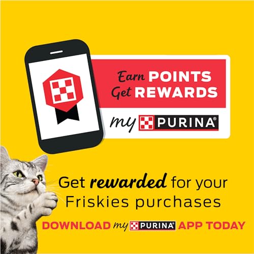 Friskies Playfuls concepto-playtime: transforma la hora de merienda en juego.