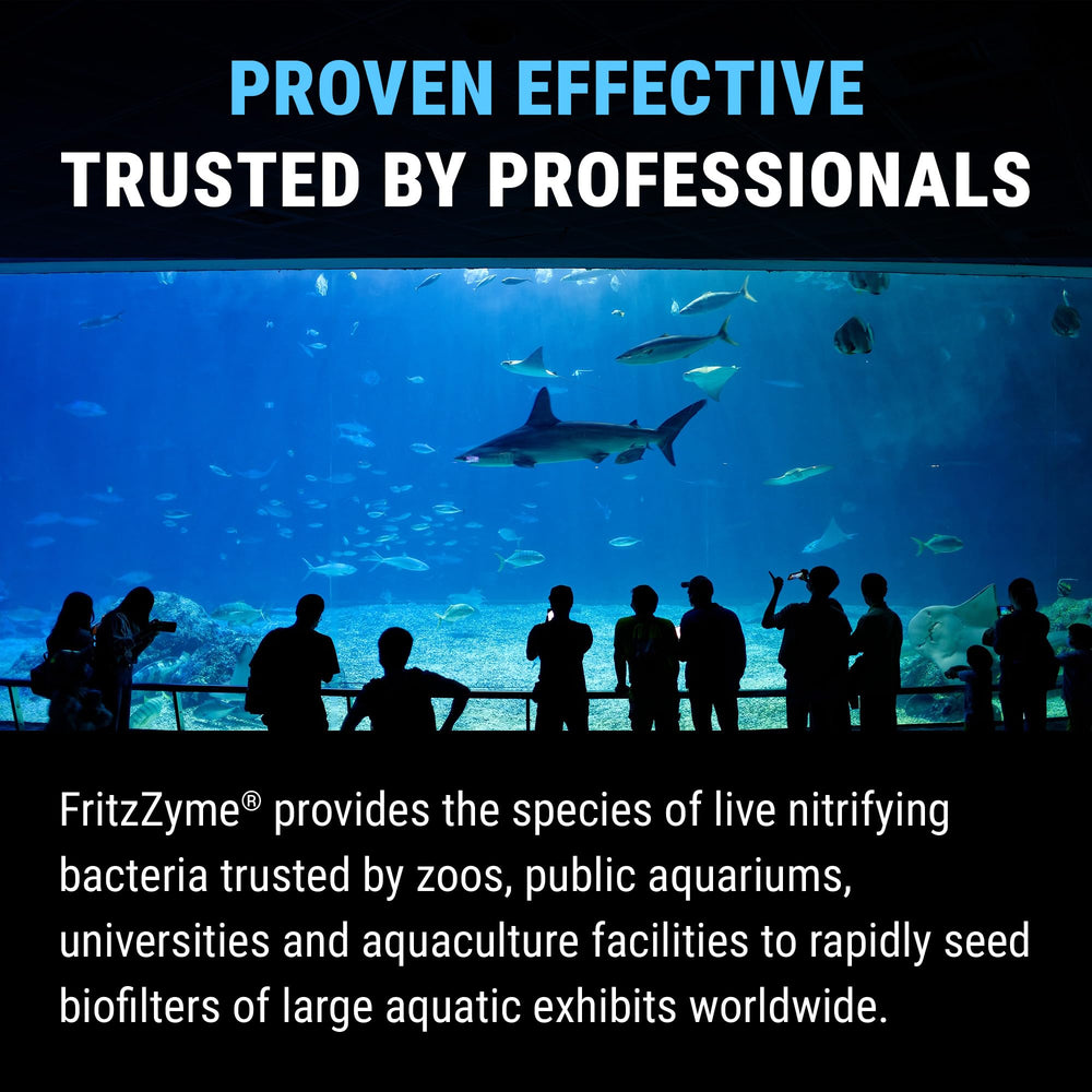 Biofiltro estable con FritzZyme 7 en acuario ya establecido.