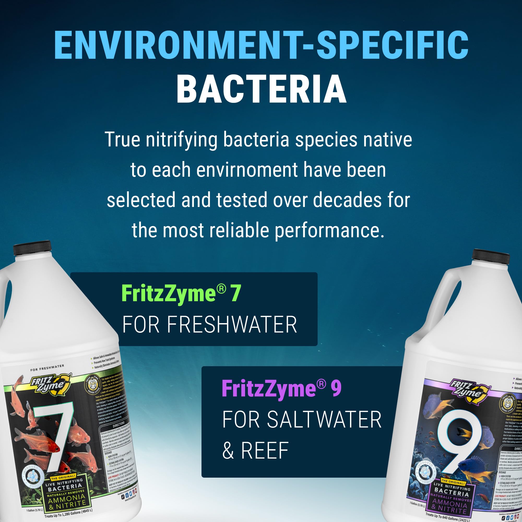 Vertido simple de FritzZyme 7 en el tanque para regenerar biofiltro.