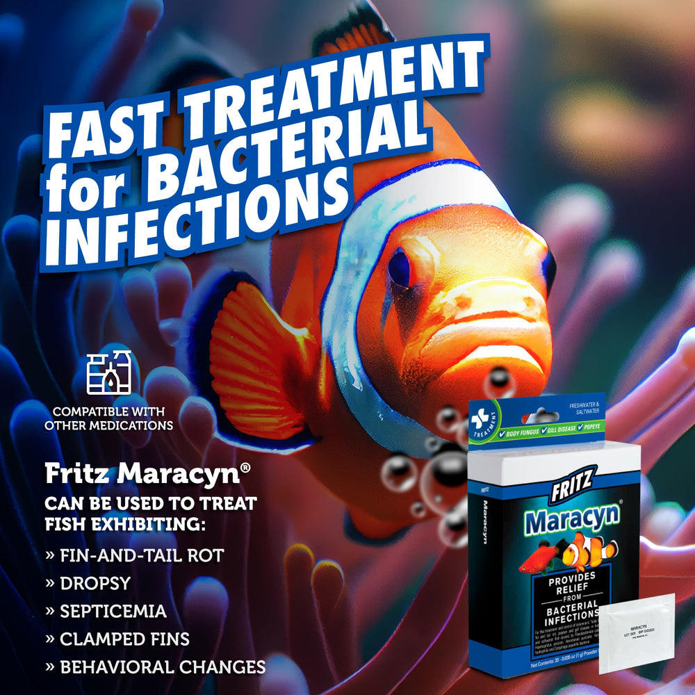 Acuario marino con Fritz Maracyn tratando infecciones bacterianas en peces.