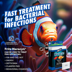 Acuario marino con Fritz Maracyn tratando infecciones bacterianas en peces.