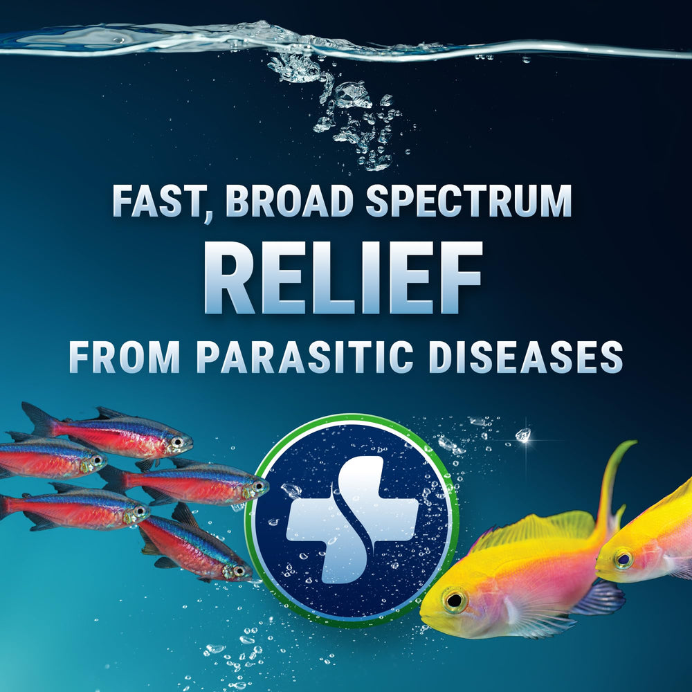 Fritz Aquatics Paracleanse: envase de dosificación para una aplicación sencilla.