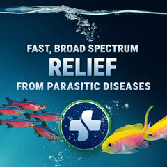 Fritz Aquatics Paracleanse: envase de dosificación para una aplicación sencilla.
