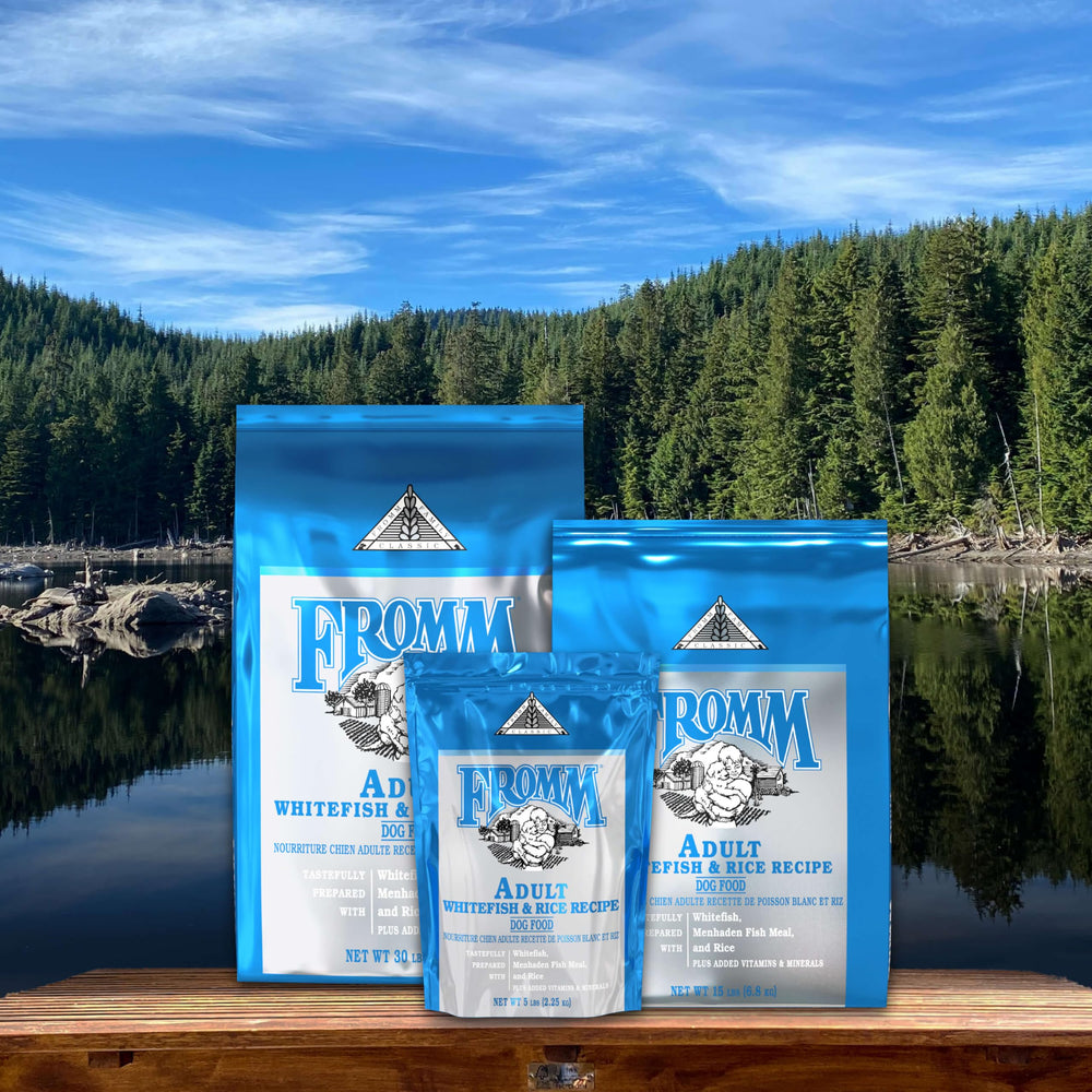 Kibble crujiente en primer plano, Fromm Clasico ofrece sabor agradable para perros medianos y pequeños