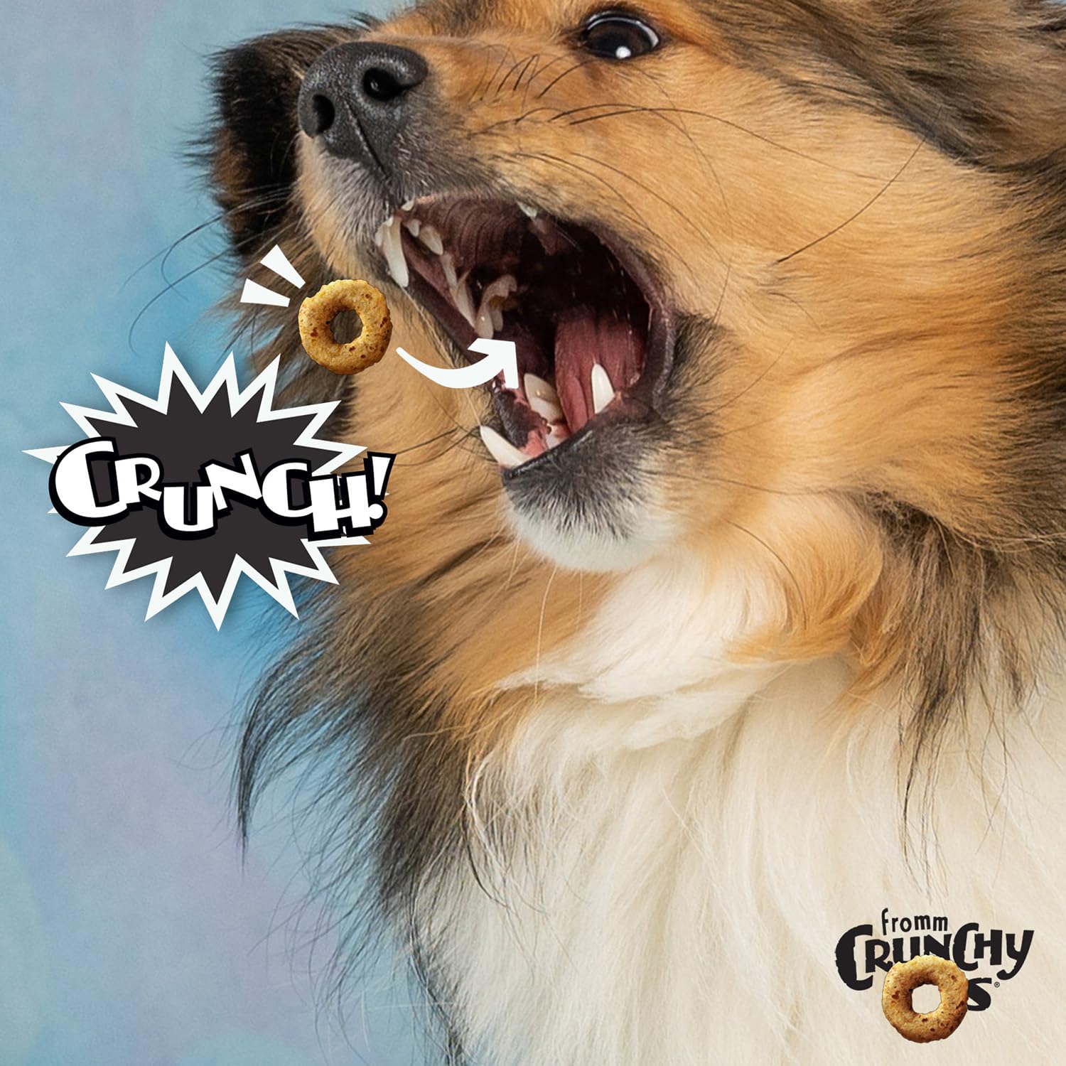 Fromm Crunchy Os Bacon Blasters, envase con cierre hermético, práctico para llevar a paseos.