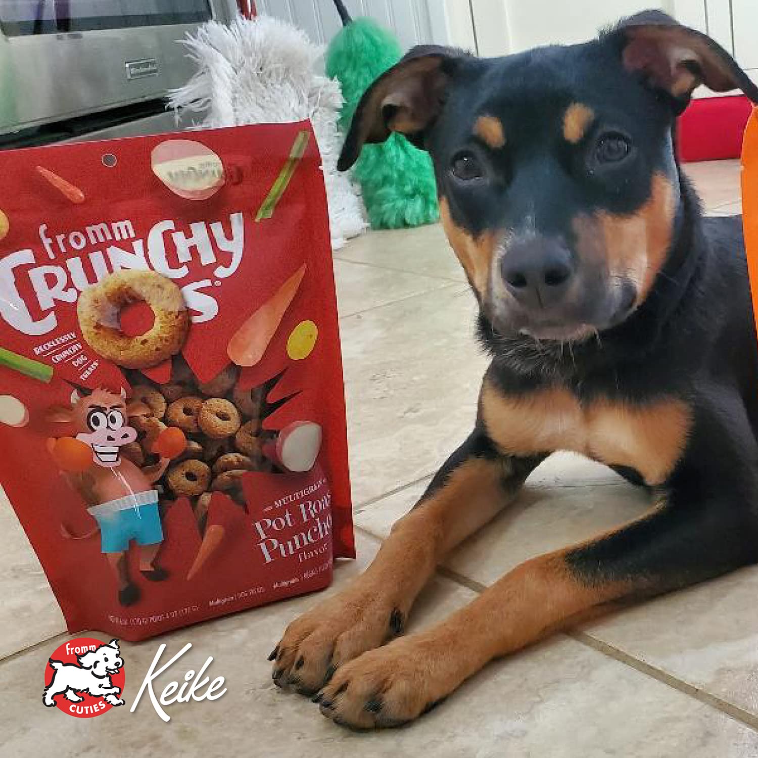 Fromm Crunchy Os sabores variados para degustar