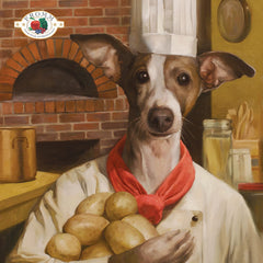 Fromm Cuatro Estrellas Nutricionales: ingredientes clave como res y legumbres para una dieta equilibrada.