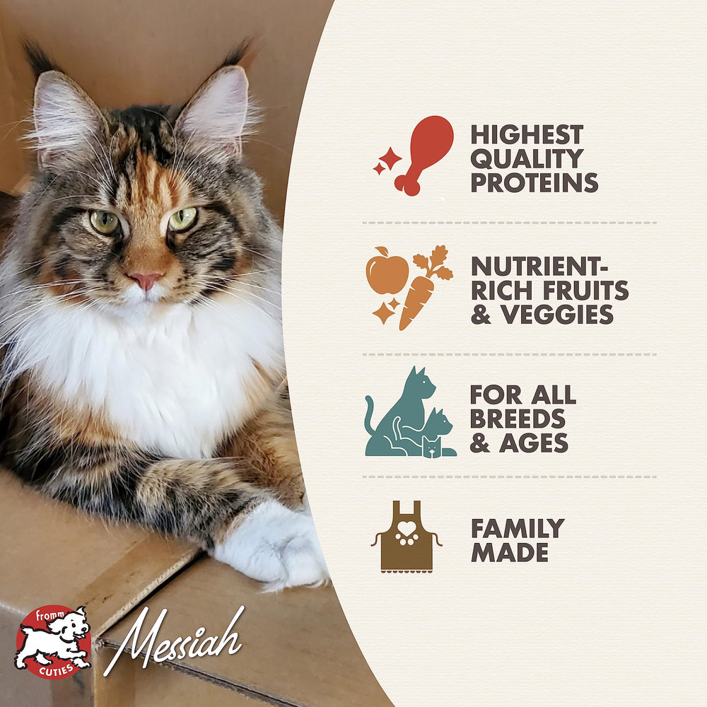 Cuenco con croquetas Fromm Four-Star Game Bird para gato