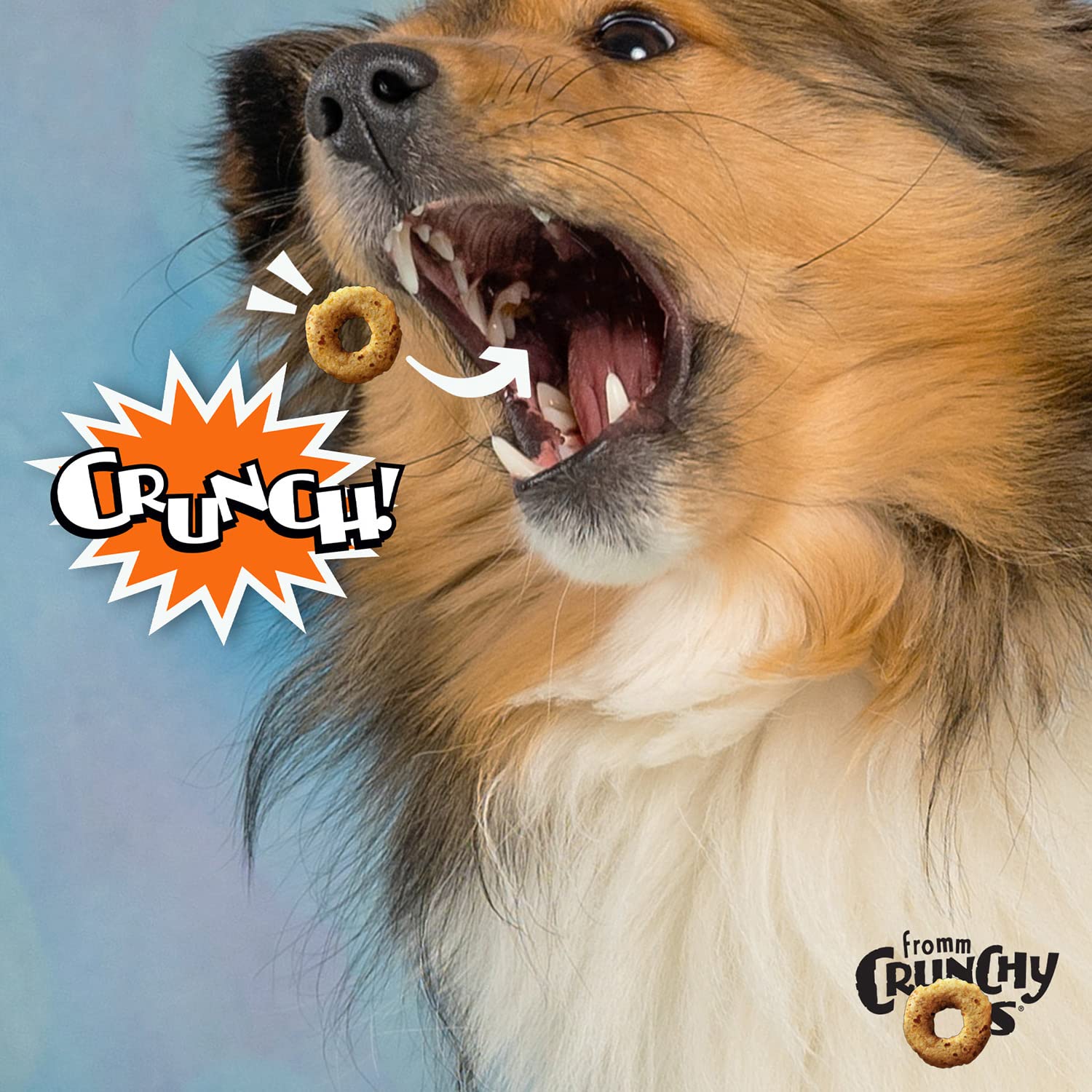 Fromm snack sabrosos para perros con fresa y arándano, sabor natural.