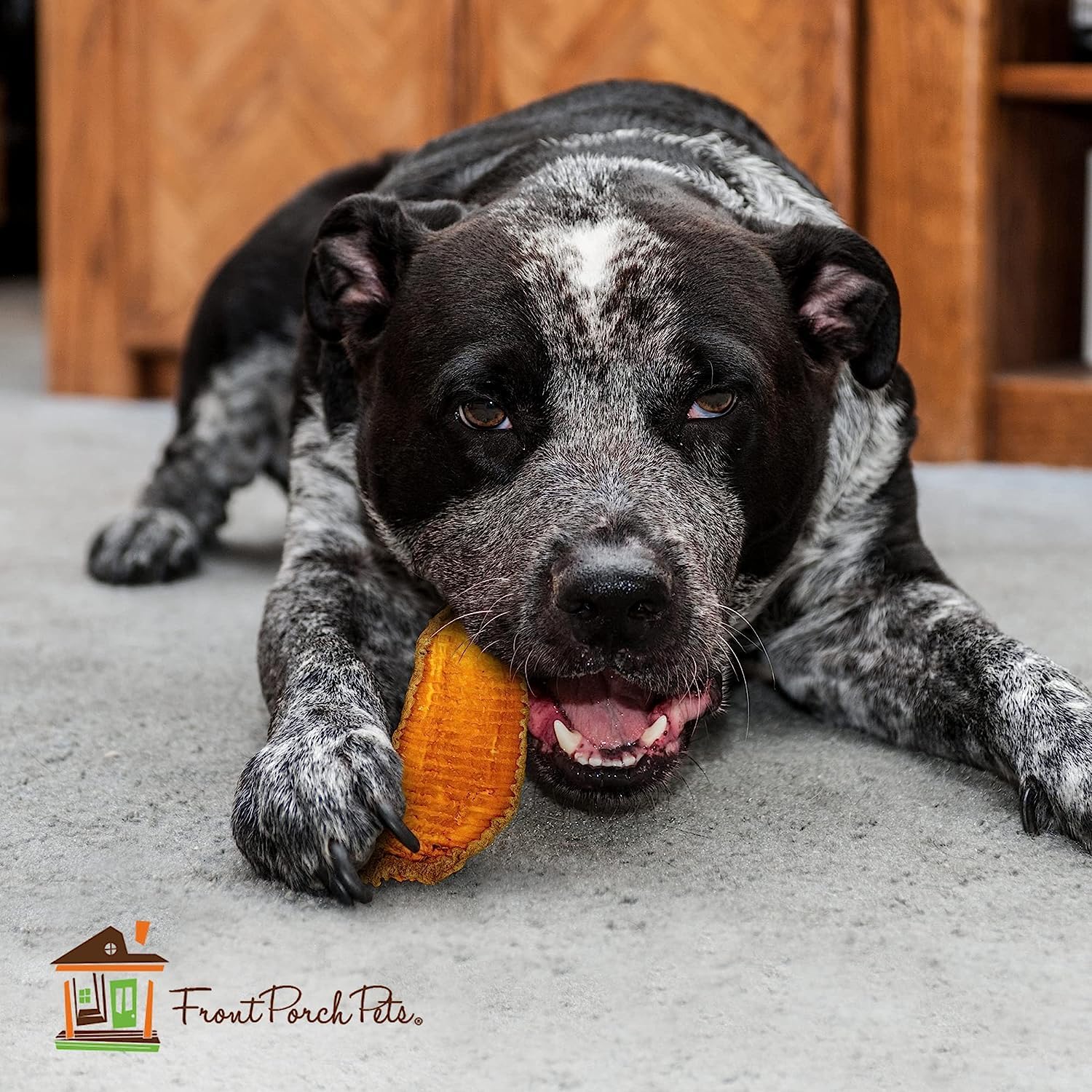 Ideal para perros grandes que quieren snack sabroso y nutritivo