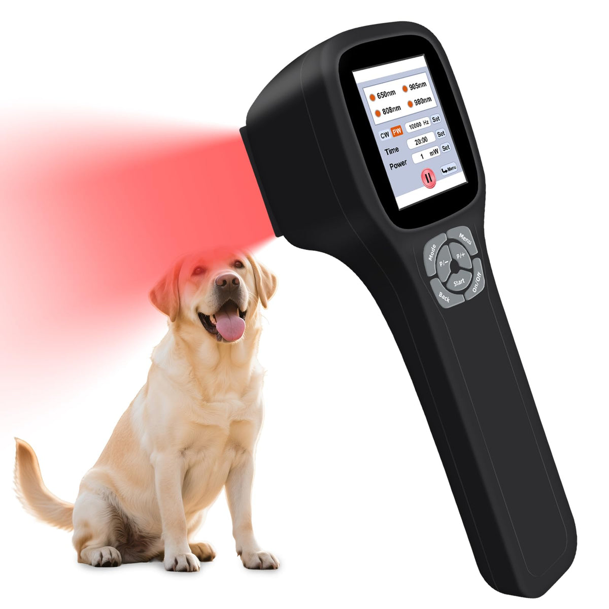 Frovab Cold Laser para perros con pantalla táctil HD para sesiones personalizadas
