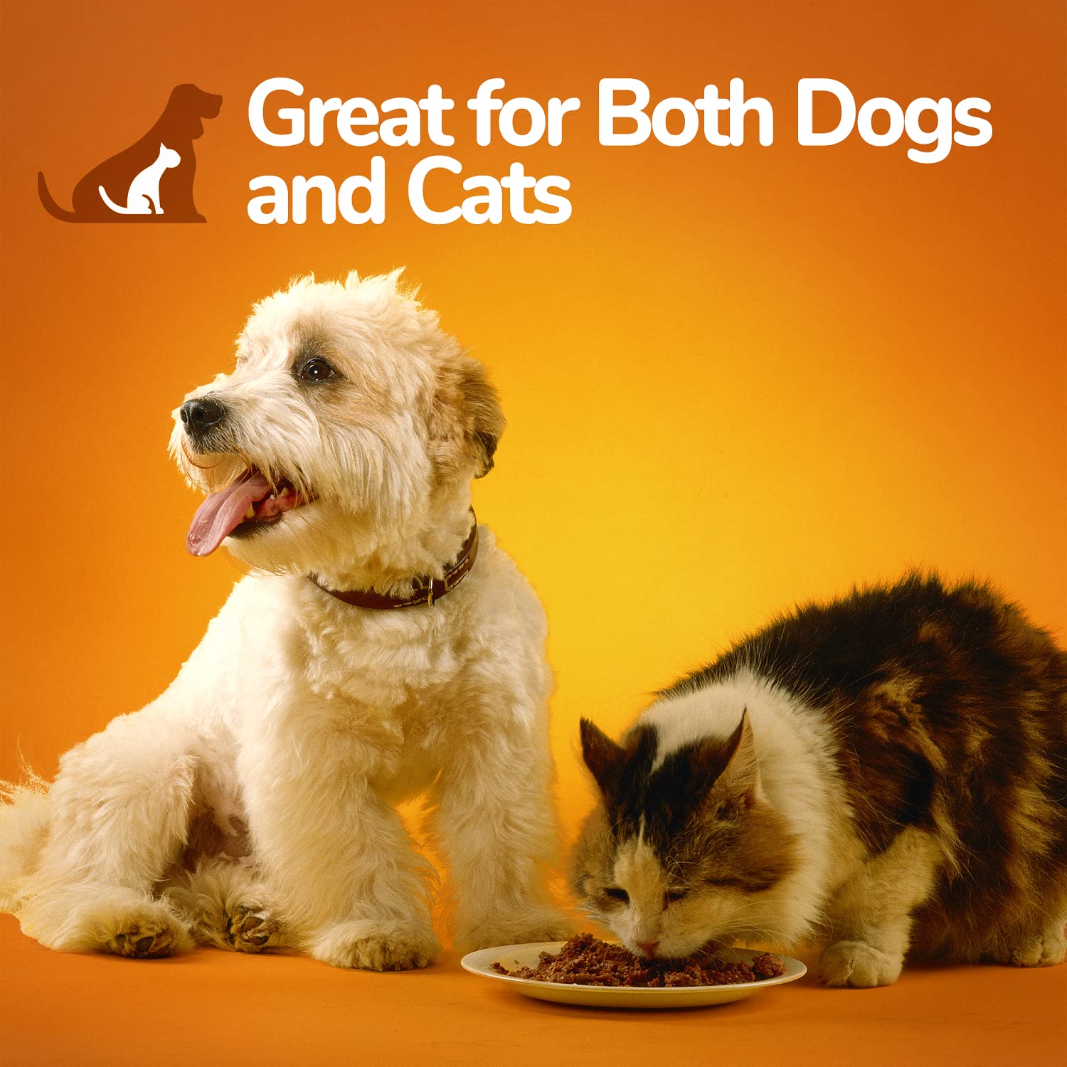 Fruitables calabaza digestiva como topping para perros