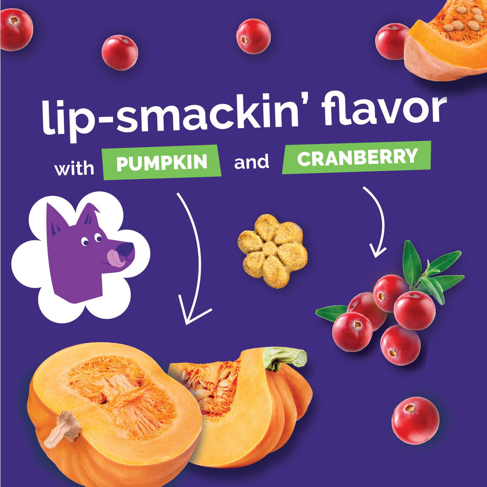 Galletas horneadas crujientes de calabaza, aroma apetitoso para perros.