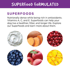 Fruitables tratos para gatos salmón con sabor suave para entre comidas