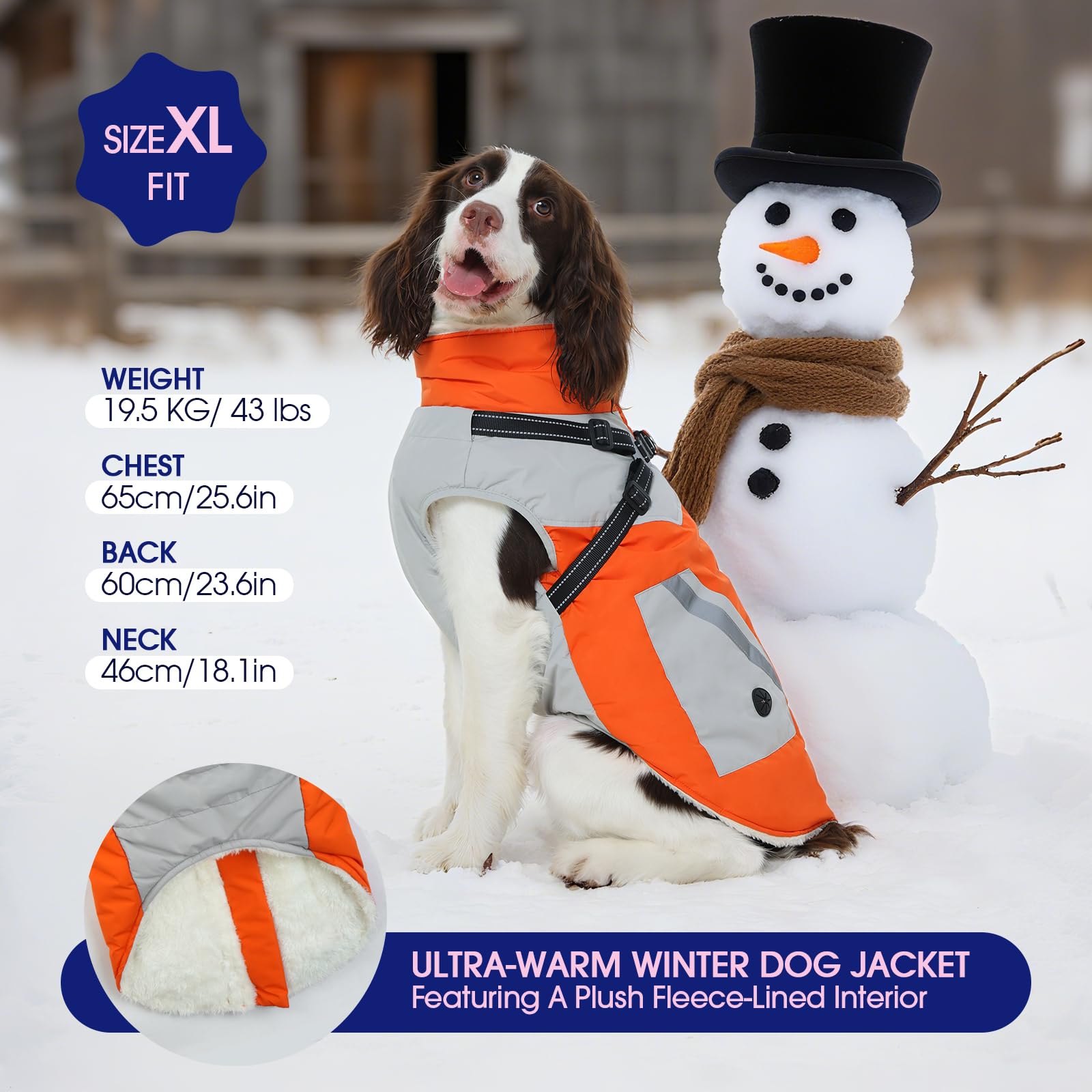 FUAMEY cazadora para perro: exterior impermeable ideal para lluvia y nieve.