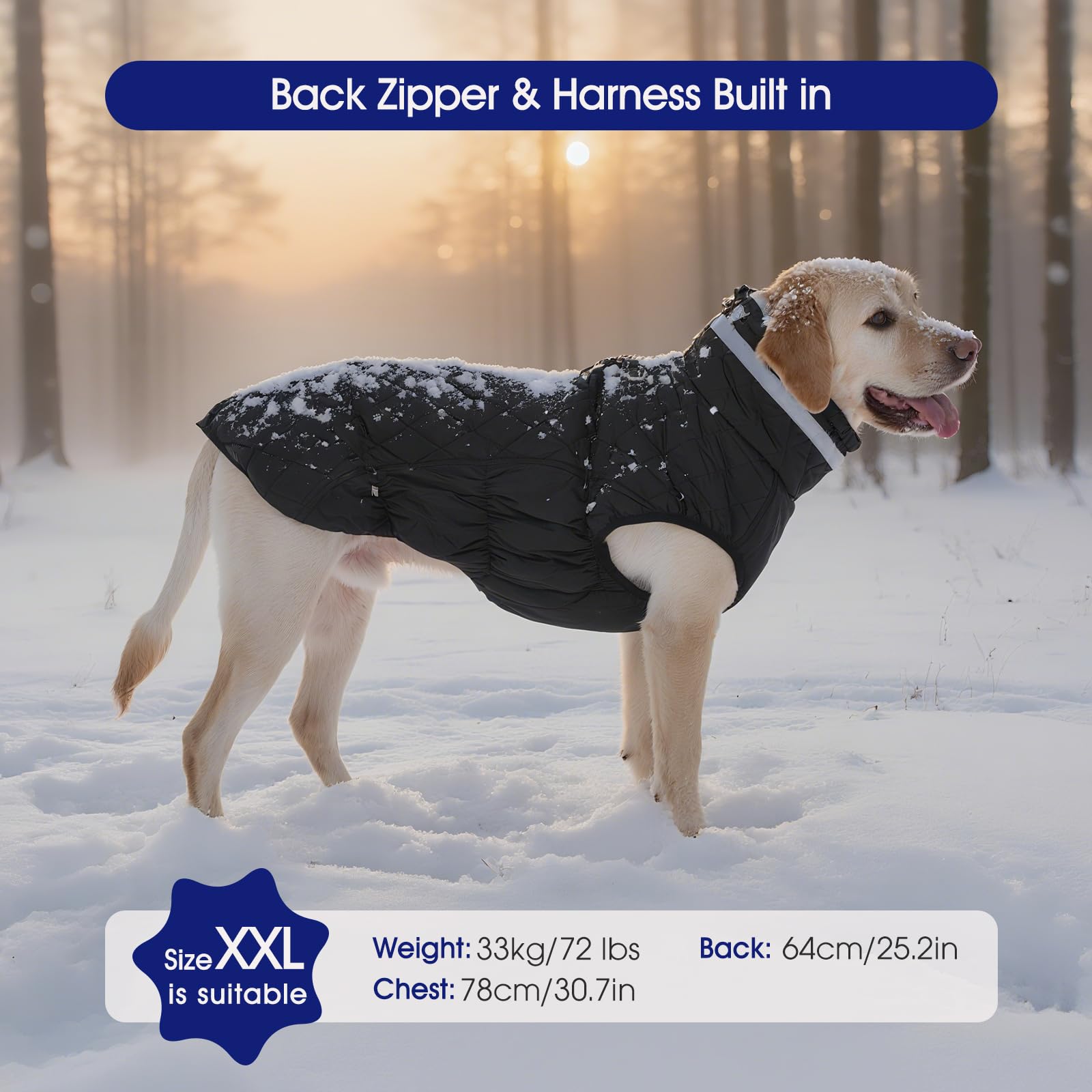 FUAMEY chaqueta impermeable para nieve y lluvia, mantiene al perro seco