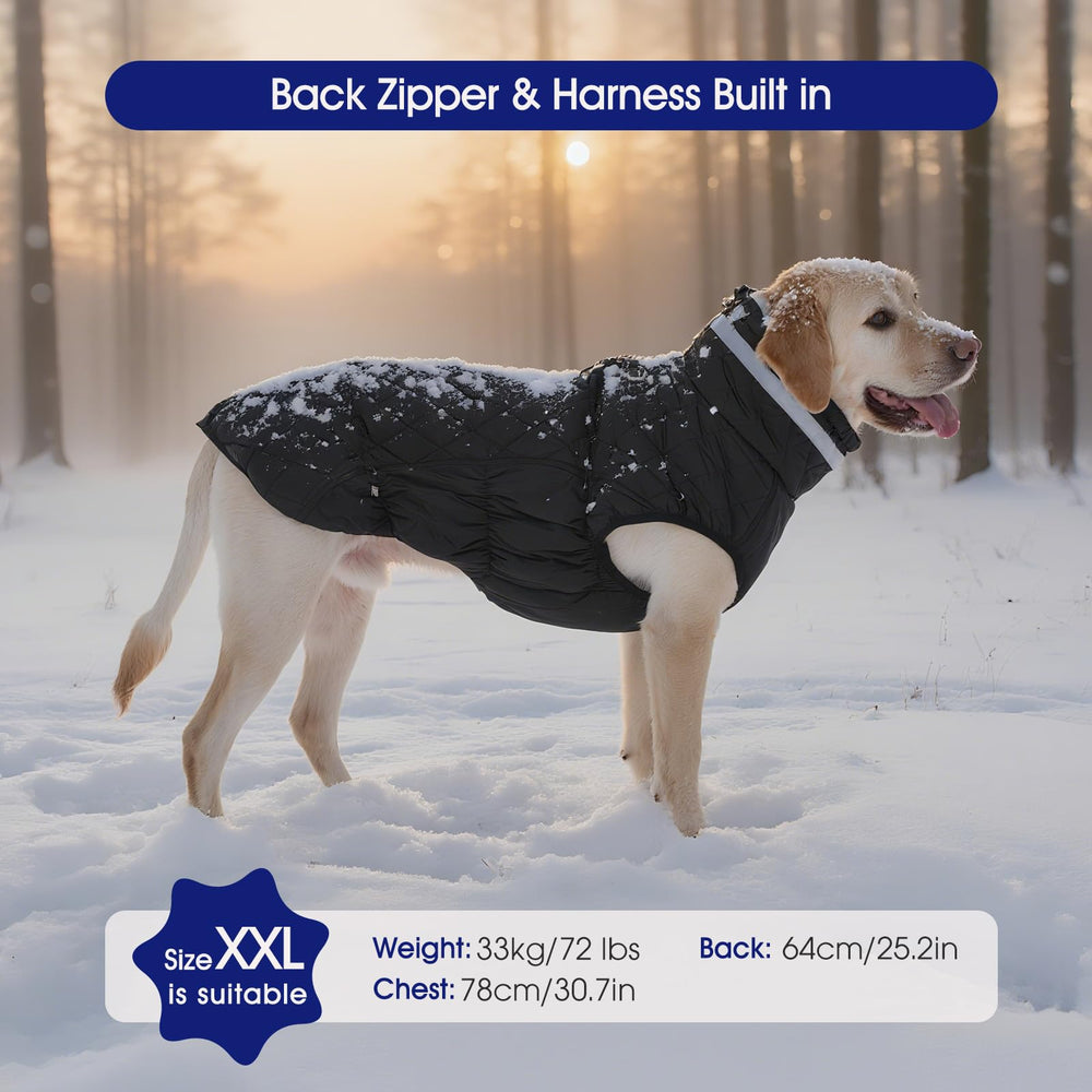 FUAMEY chaqueta impermeable para nieve y lluvia, mantiene al perro seco
