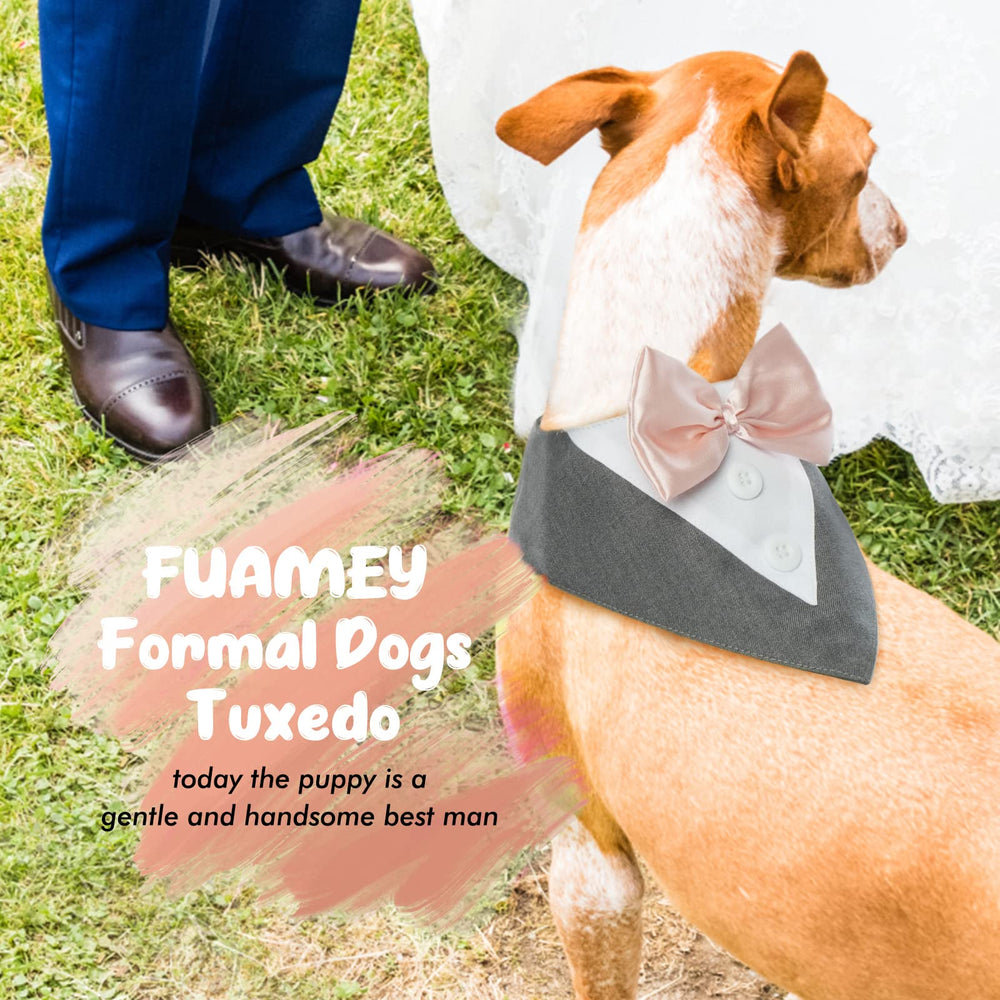 FUAMEY diseño cosplay para perro gris, perfecto para eventos temáticos.