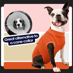 FUAMEY diseño-practico-perro: facilita uso diario en casa.