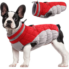 FUAMEY abrigo para perros, frente visible, calor cómodo para paseos fríos