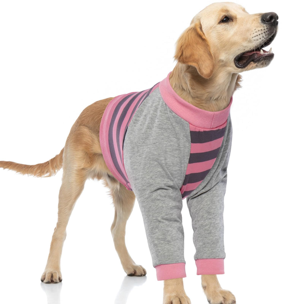 FUAMEY manga recuperación para perro protege codo en rosa con rayas – comodidad al moverse