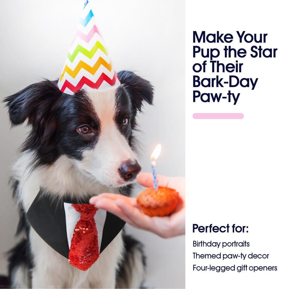 FUAMEY Accesorio diario para Perro con Corbatín, estable para paseos y fotos todo el año.