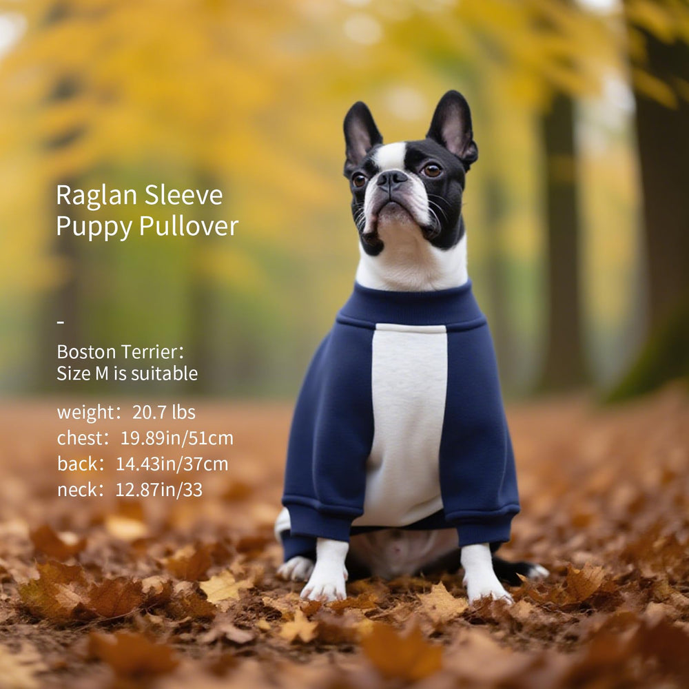 FUAMEY sudadera para perro, fácil lavado a máquina para uso diario.