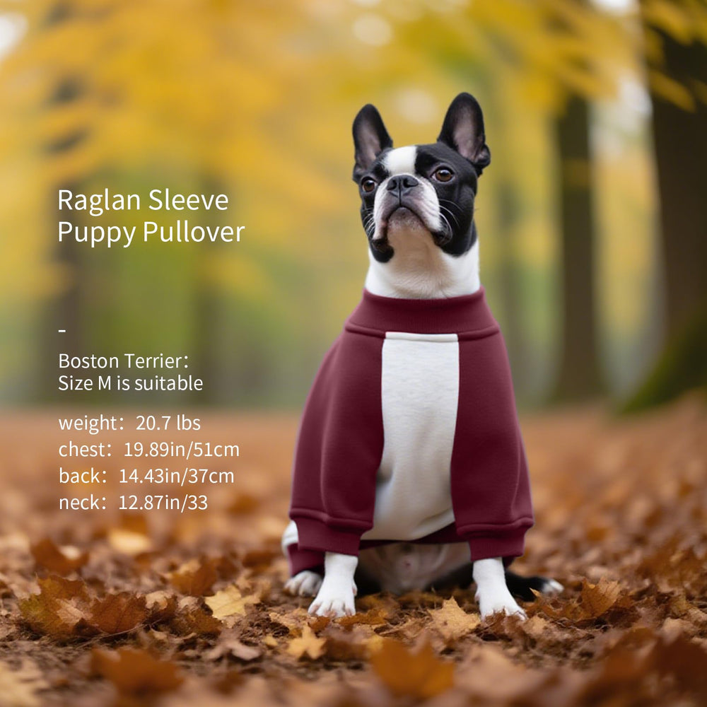 Sudadera FUAMEY para paseos fríos, ideal para días frescos.