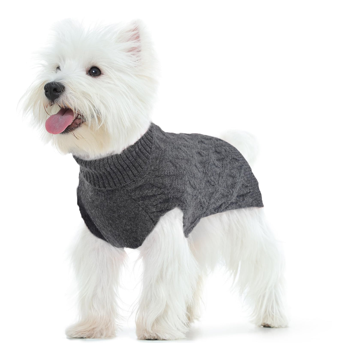 FUAMEY suéter para perro con cuello alto gris, ideal para días fríos