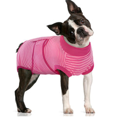 FUAMEY traje de recuperación para perro postoperatorio, cómodo y fácil de poner.