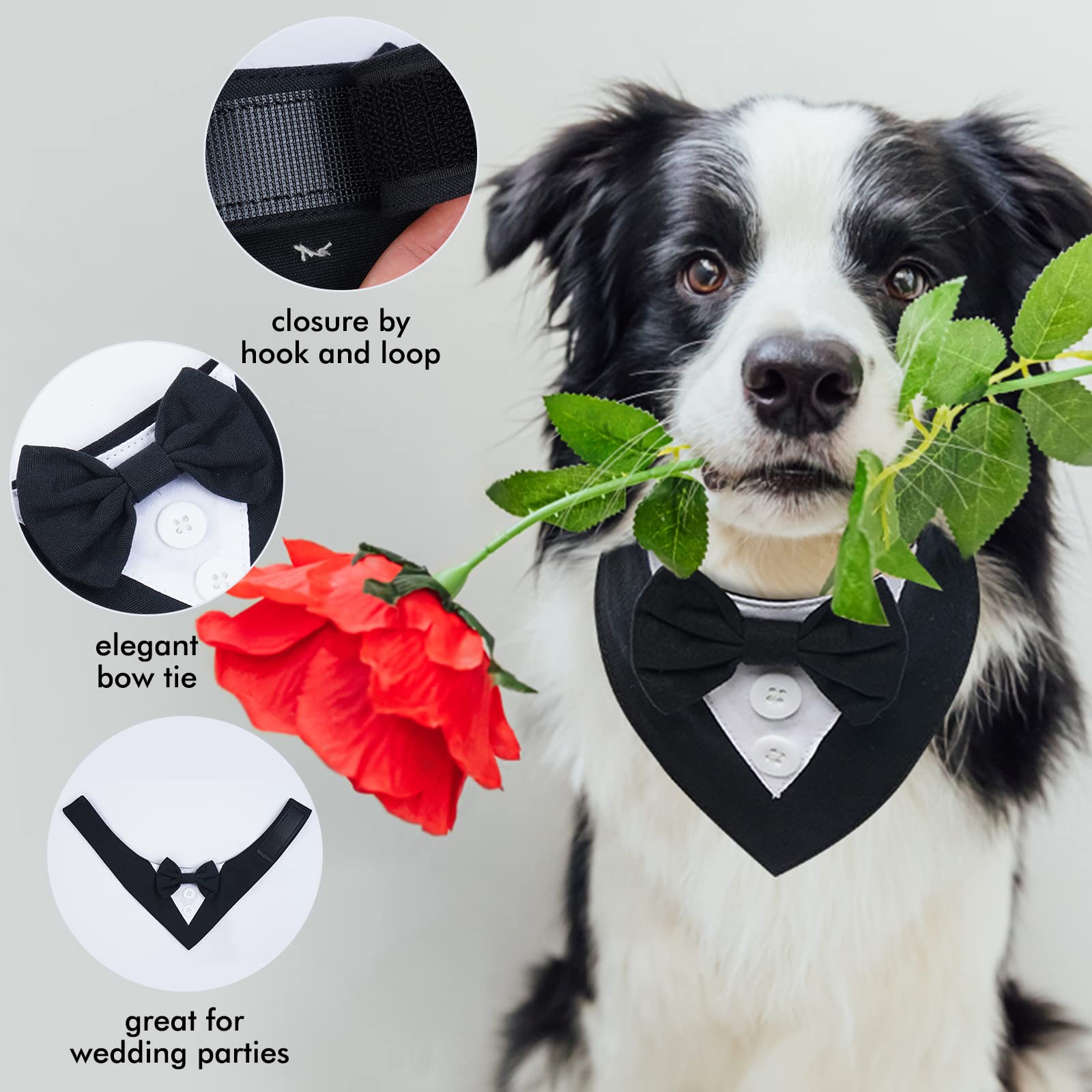 FUAMEY uso festivo, ideal para bodas, cumpleaños y fiestas
