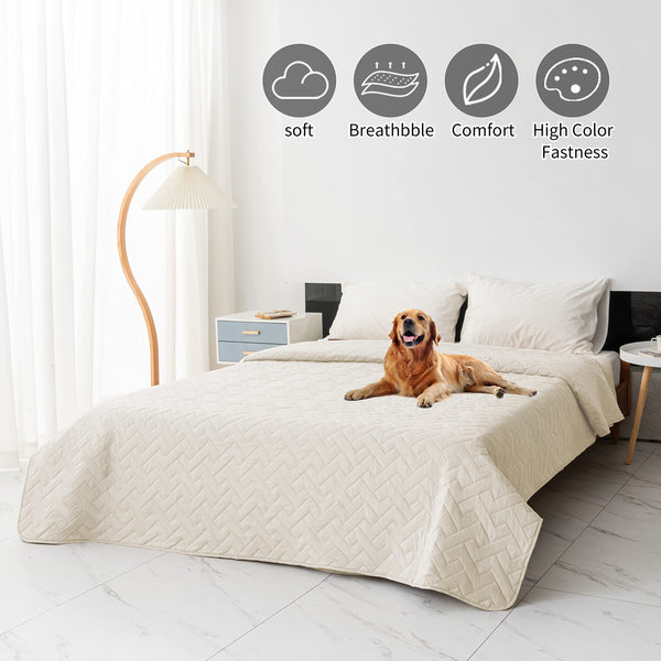 Protección impermeable para sofá Fuguitex, ideal para manchas y derrames.