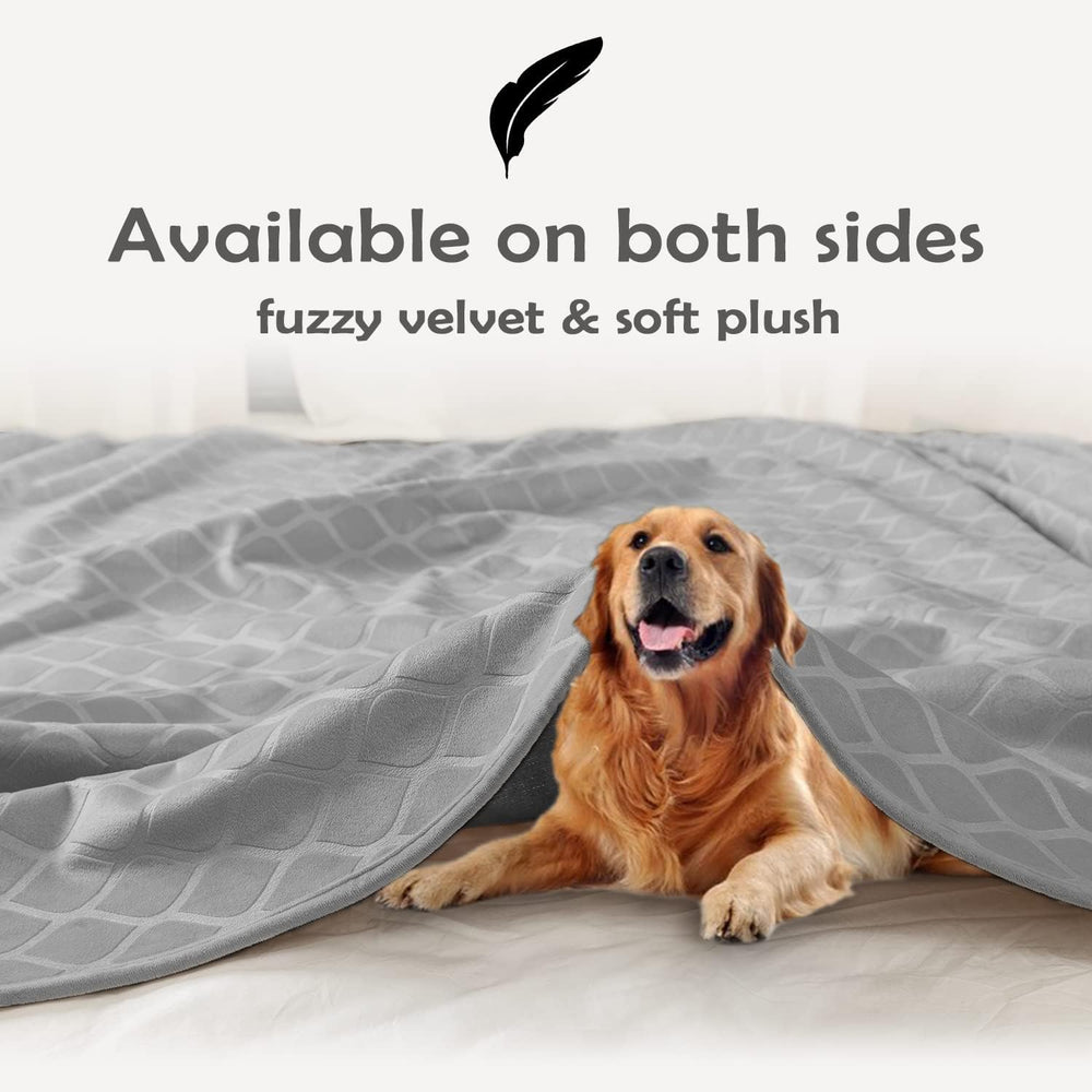 Cobija fuguitex para perros lavable en máquina