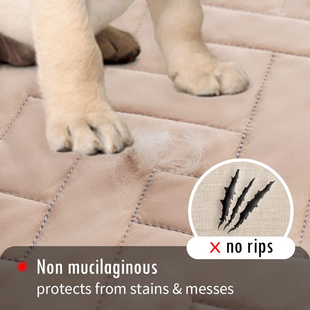Fuguitex funda lavable a máquina para uso diario con mascotas.