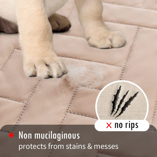 Fuguitex funda lavable a máquina para uso diario con mascotas.