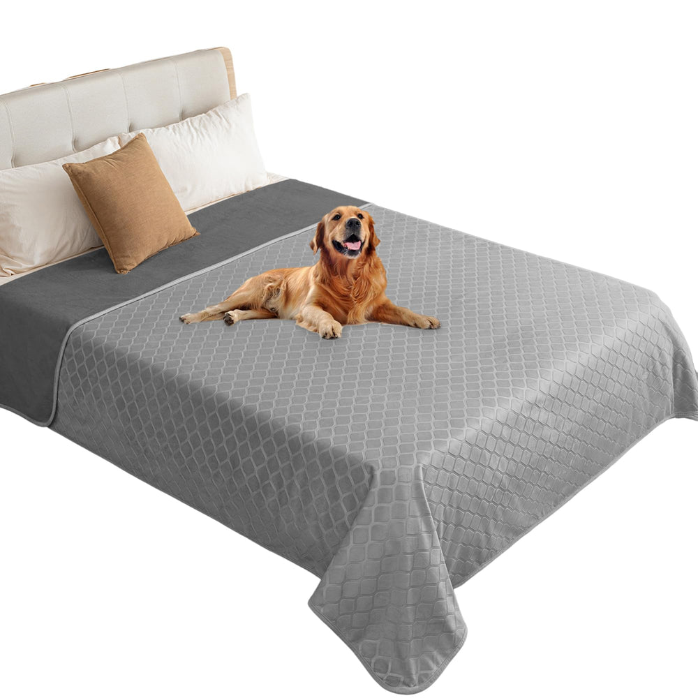 Manta impermeable para perros Fuguitex sobre sofá protege el mueble.