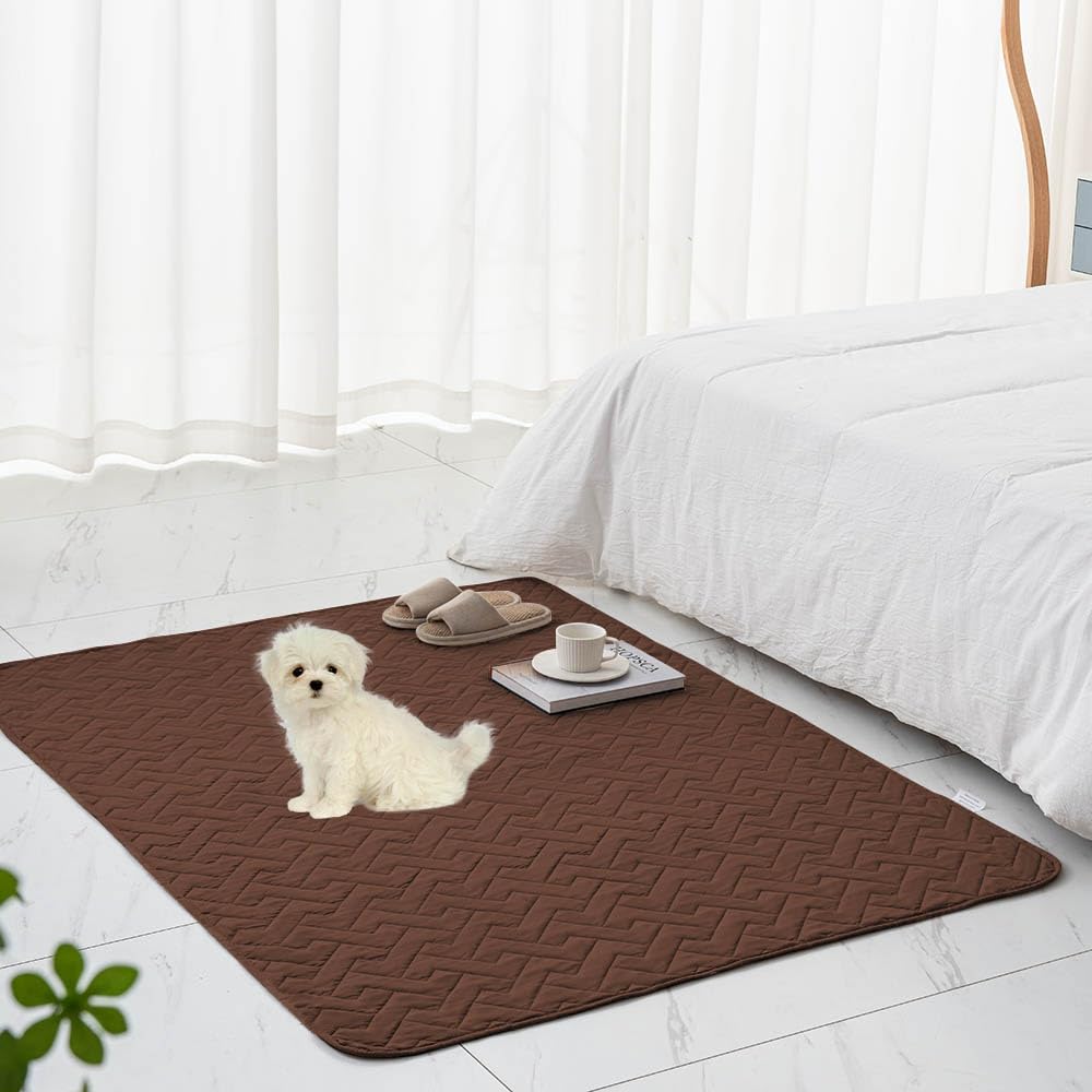 Uso diario Fuguitex cama y sofá, solución práctica para muebles con mascotas.