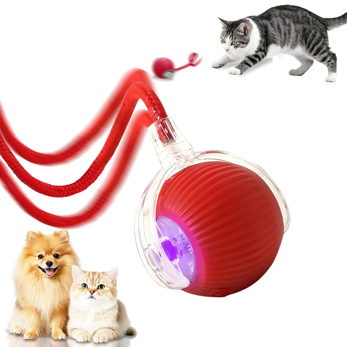 FUICZSN bola interactiva en acción para gatos, activación automática.