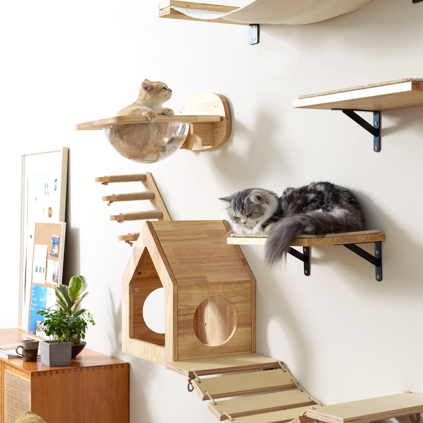 Área de actividad en pared para mantener al gato activo.