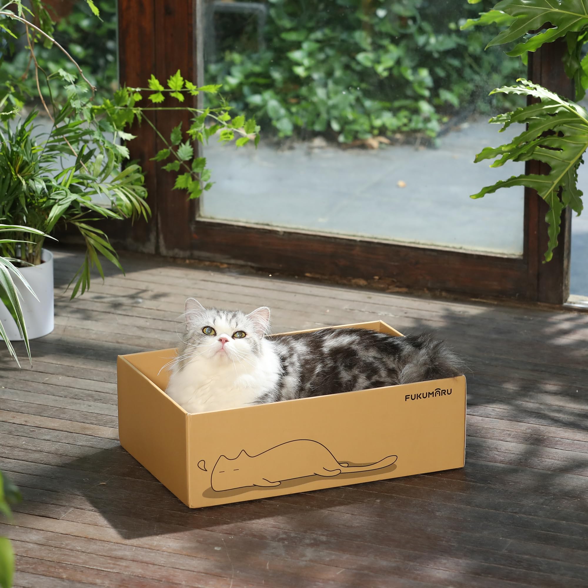 FUKUMARU caja extragrande para gatos de gran tamaño