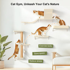 Cama de pared FUKUMARU para gatos descanso cómodo en casa