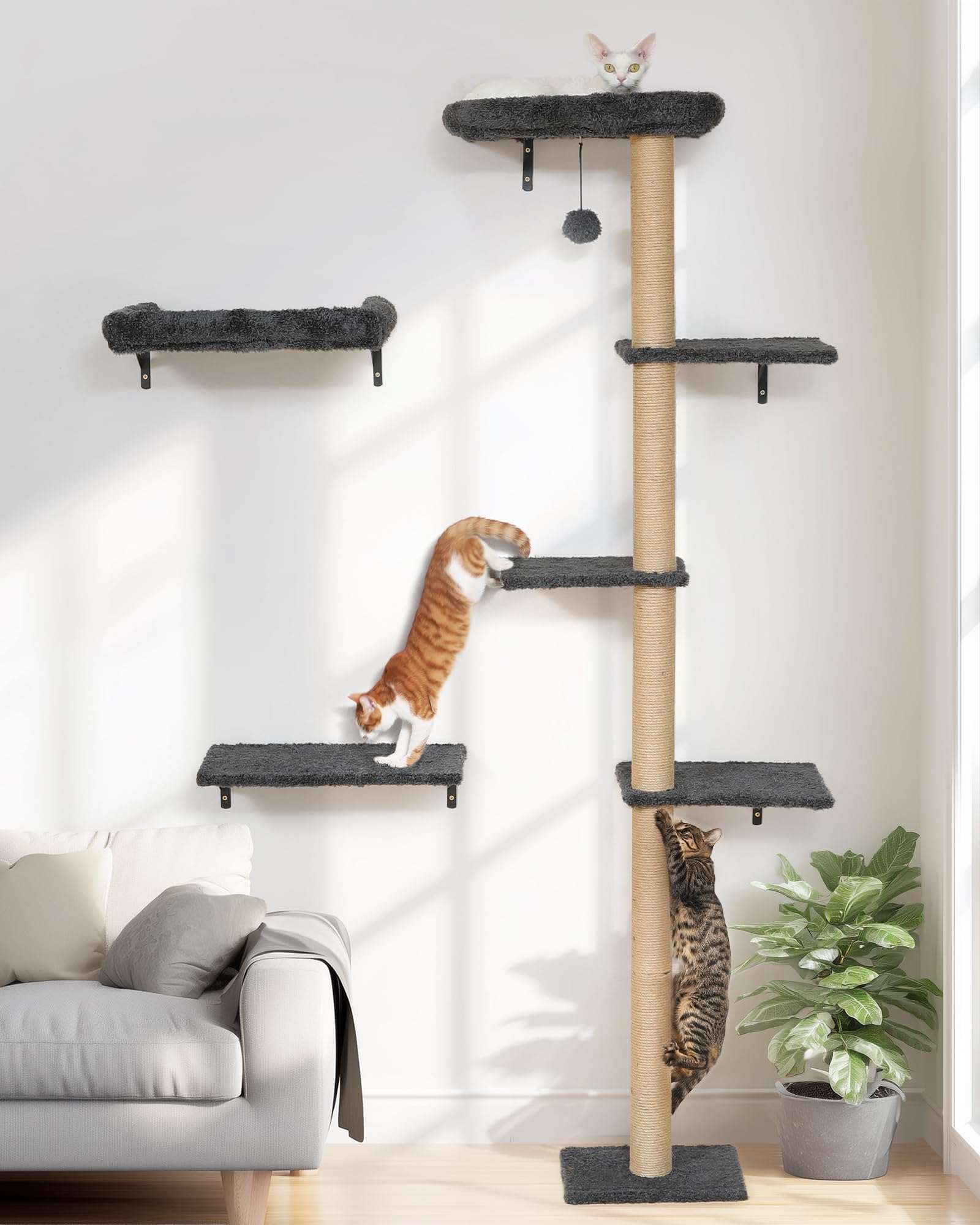 Cama de pared FUKUMARU para gatos con cojín suave, descanso cómodo.