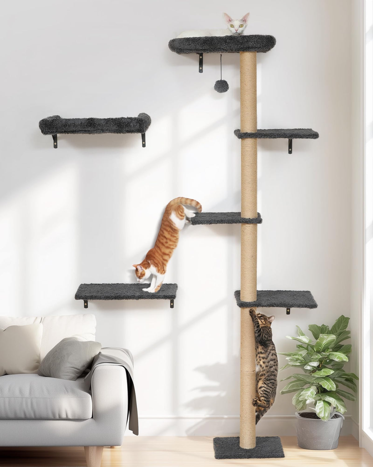 Cama de pared FUKUMARU para gatos con cojín suave, descanso cómodo.