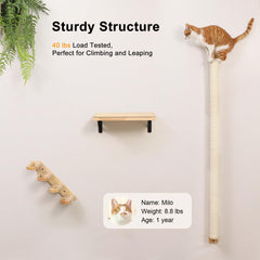 FUKUMARU poste ofrece estabilidad y seguridad para gatos grandes.