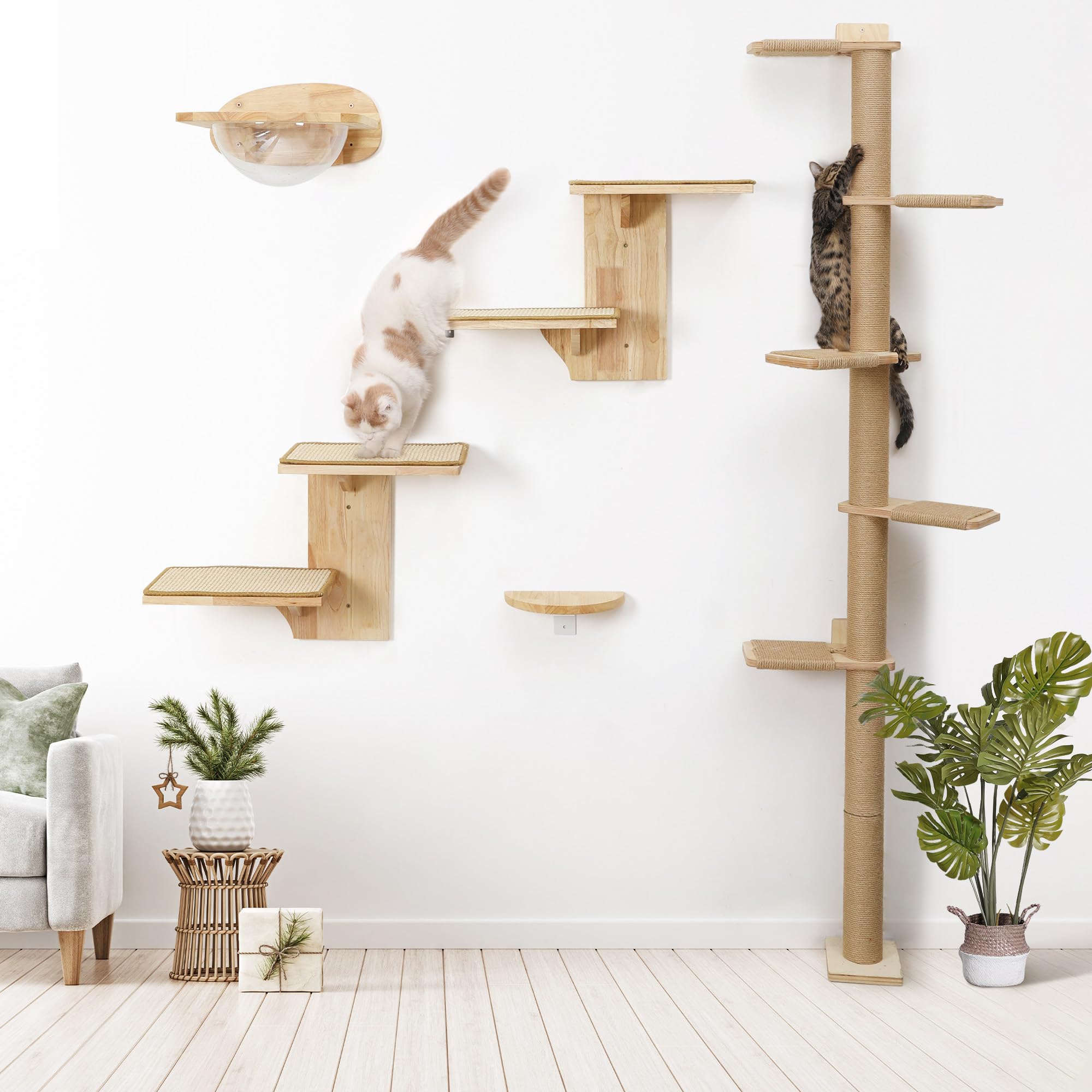 FUKUMARU diseño vertical para ahorro de espacio, ideal para trepar.