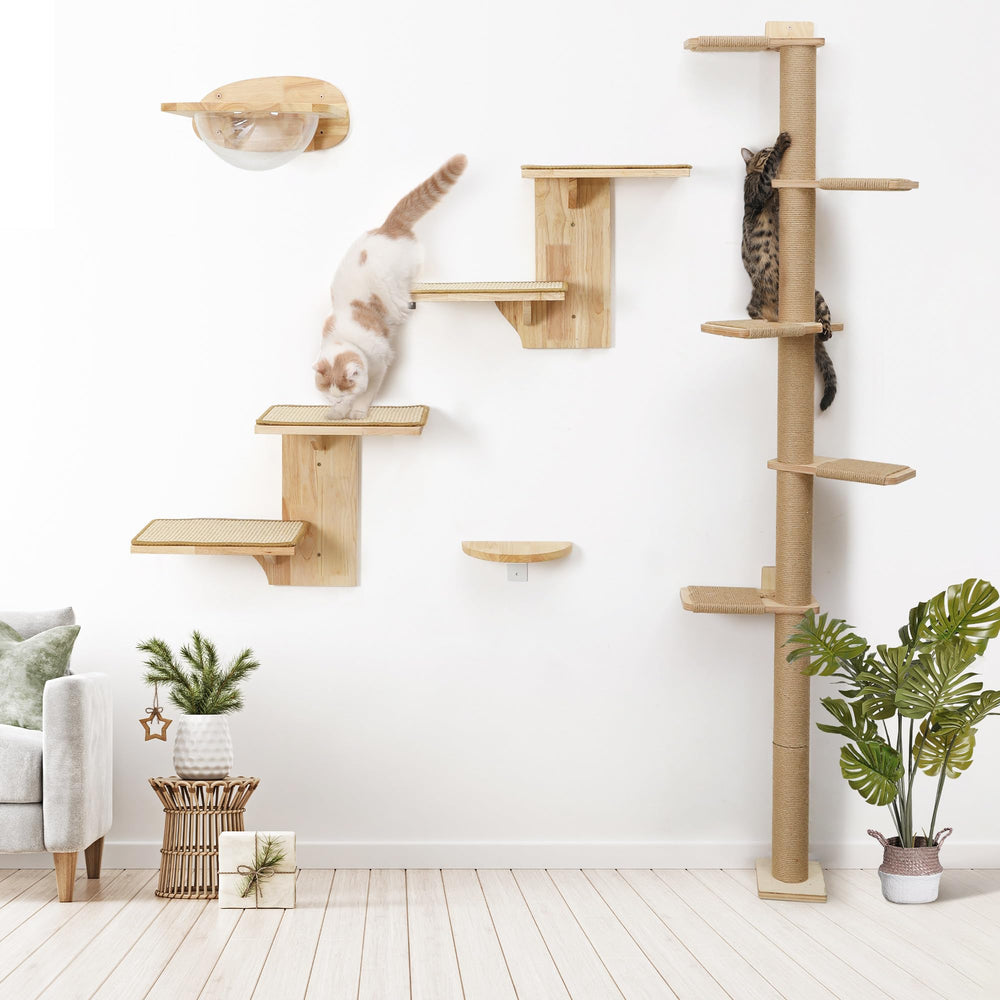 FUKUMARU diseño vertical para ahorro de espacio, ideal para trepar.